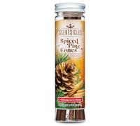 Scentsicles Lot de 6 bâtons de décoration de Noël parfumés Pommes de pin épicées avec Crochets - 1 Bouteille (6 bâtons au Total)