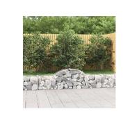 vidaXL Panier de Gabions Arqué Cage à Gabion Mur de Gabion Panier à Pierre Gabion pour Pierre Jardin Patio Extérieur 200x30x40/60 cm Fer Galvanisé