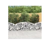 vidaXL Panier de gabions arqué 200x30x60/80 cm Fer galvanisé