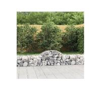 Vidaxl Paniers À Gabions Arqués 11 Pcs 200x50x40/60 Cm Fer Galvanisé