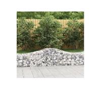 vidaXL Paniers à gabions arqués 12 pcs 200x50x40/60 cm