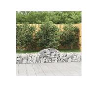 vidaXL Schanskorven 13 st gewelfd 200x30x40/60 cm gegalvaniseerd ijzer3146058 G
