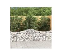 Schanskorven 14 st gewelfd 200x50x60/80 cm gegalvaniseerd ijzer3145610