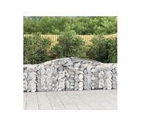Vidaxl Paniers À Gabions Arqués 2 Pcs 400x30x80/100 Cm Fer Galvanisé