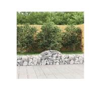 Schanskorven 20 st gewelfd 200x30x40/60 cm gegalvaniseerd ijzer3146062