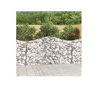 Schanskorven 25 st gewelfd 200x50x100/120 cm ijzer3145656