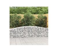Vidaxl Paniers À Gabions Arqués 25 Pcs 400x50x60/80 Cm Fer Galvanisé