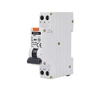 Schelinger Disjoncteur différentiel FI+LS 30 mA B25 RCBO (B25)