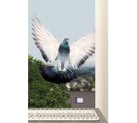 Schellenberg anti-oiseaux Kit, 50778