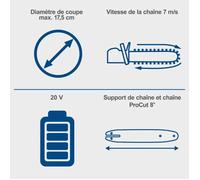 Scheppach Pack Elagueuse sans fil BC-TCS200-X