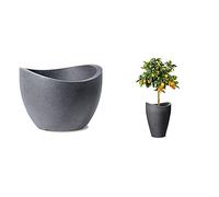 Scheurich 53379 250/30 Wave Globe Pot de Fleurs Plastique Granit Noir 30 x 30 x 22 cm & 54265 254/40 Wave Globe High Pot de Fleurs Plastique Noir 30 x 30 x 40 cm