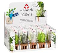 SCHEURICH Bewässerungsfigur "Bördy S" 25-teiliges Thekendisplay 3-fach sortiert 412607 4002477699332