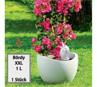 Scheurich Distributeur d'eau Bördy XXL | 1x Champagne | 1000 ml de remplissage | Petite boule d'arrosage avec pied en terre cuite | Distributeur d'eau pour plantes et fleurs Tige en terre cuite