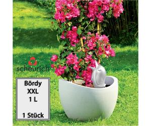 Scheurich Distributeur d'eau Bördy XXL | 1x Champagne | 1000 ml de remplissage | Petite boule d'arrosage avec pied en terre cuite | Distributeur d'eau pour plantes et fleurs Tige en terre cuite