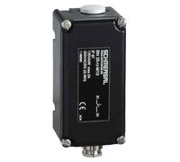SCHMERSAL Commutateur magnétique BN 20-11RZ 101165310