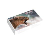 Schmincke Aero Color 81 716 097 Lot de 5 flacons de 28 ml de peinture acrylique liquide fine pour peinture acrylique, aérographe, mixte, encre acrylique, édition spéciale Melina Wuggonig