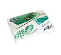 Schmincke - College Linol Lot de 5 tubes de 75 ml pour linogravure 84 005 097 Couleurs primaires Encre d'impression linogravure à faible odeur Impression uniforme