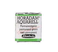 Schmincke - HORADAM® AQUARELL - aquarelles fines pour artistes, 526 vert permanent, 14 526 044, 1/2 godet