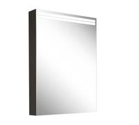 Schneider ARANGA TW Armoire de toilette avec éclairage, 1 porte avec charnières à droite, 495x120x700mm, bandeaux lumineux en haut, 160.452.02.44, Exécution: norme EU/corps noir mat