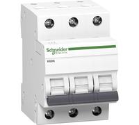 Schneider Electric 3814620 Disjoncteur 10 A