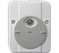 Schneider Electric 544829 Interrupteur crépusculaire gris clair 230 V 1 NO (T)