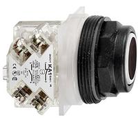 Schneider Electric 9001SKR1BH13 1 pc(s)