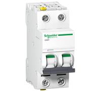 Schneider Electric A9F06206 Disjoncteur iC60H, 2P, 6A, B caractéristiques, 6 ampères B