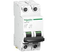 Schneider Electric Interrupteur LS A9N61532