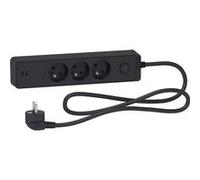 Schneider Electric SC5ST933U1B Rallonge multiprises 3 Prises 2P+T Anthracite 2 USB 1,5m, Noir