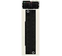Module de sortie numérique Schneider Electric BMXDDO1602