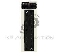Schneider Electric Module de sortie numérique BMXDDO1602 16 canaux 24 V DC 0,5 A Modicon X80