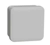 Schneider Electric - Boîte De Dérivation Face Lisse 80 X 80 X 45 Mm En séillie