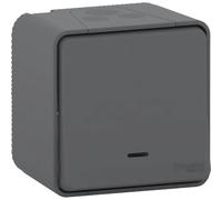 Schneider Electric Bouton Poussoir Anthracite Étanche - Mureva