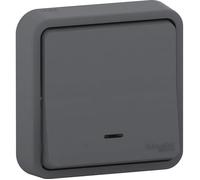 Schneider Electric Bouton Poussoir lumineux mureva Styl, 250 V, Gris - SC5SHN0212459
