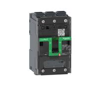 Schneider Electric C113050LS Interrupteur sectionneur 1 pc(s)