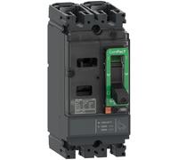 Schneider Electric C16M2TM125 NSX160M disj TMD 125A 2P fx