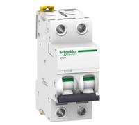 Schneider Electric Disjoncteur Acti9 iC60N 2P 10A 6000A courbe C -A9F79210