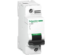 Schneider Electric - Disjoncteur C120h 1p 125 A, Courbe C, 15 Ka - A9n18448