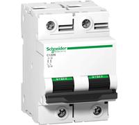 Schneider Electric Disjoncteur de protection de circuit C120N, 2P, 100A, caractéristique C, 10kA A9N18362