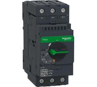 Schneider Electric Disjoncteur magnéto-thermique TeSys GV3P Actionneur pivotant 40 A Bornes Everlink, GV3P40