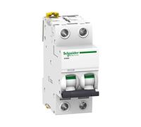 Schneider Electric Ic60 N Type C 2P Disjoncteur