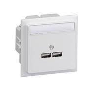 Schneider Electric INS60520 Boîtier d'encastrement prise USB 1 pc(s)