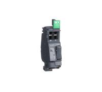 Schneider Electric LV426843 NSXM BOBINE MX 130VCA 125VCC