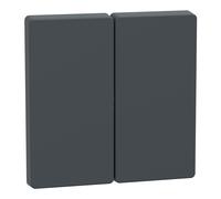 Schneider Electric MEG3400-6034 Enjoliveur double anthracite