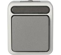 Schneider Electric Merten MEG3116-8029 Aquastar Merten Interrupteur Marche/arrêt pour pièces humides 1 pôle Gris Clair IP44