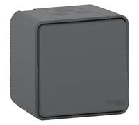 Schneider Electric MUR35021 Va et Vient mureva Styl, 250 V, Gris