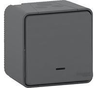 Schneider Electric MUR35028 Bouton Poussoir lumineux mureva Styl, 250 V, Gris