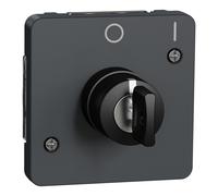 Schneider Electric MUR35062 INTER CLE 2 POS GRIS COM.