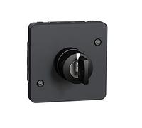 Schneider Electric - Interrupteur à clé Mureva Styl MUR35061 3 positions composable IP55 IK08 gris