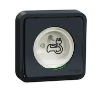 Schneider Electric - Mureva Styl - Prise courant 2P+T renforcee - encastre - IP55 - IK08 - EV - gris - MUR36011